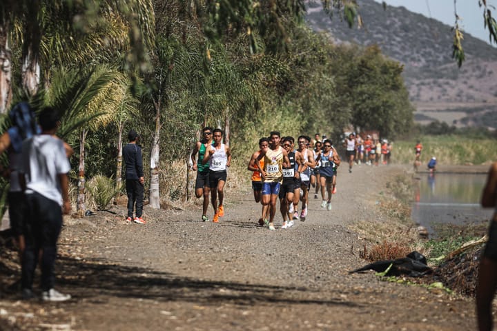 Vámonos al Campeonato Nacional de Campo Traviesa